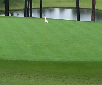 企業のイベント施術