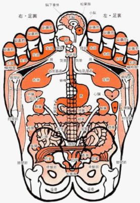 ���͑̂̑���S�Ă͂����Ă���B